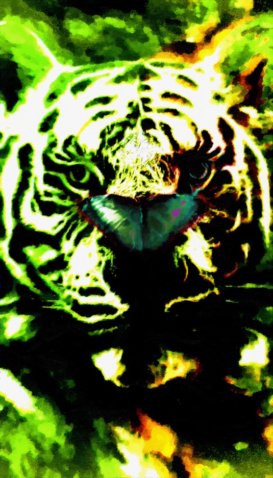 #X_19_Zul speaks on the state of Earth in 2022